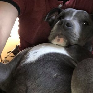 Meet your Posher, Leandro